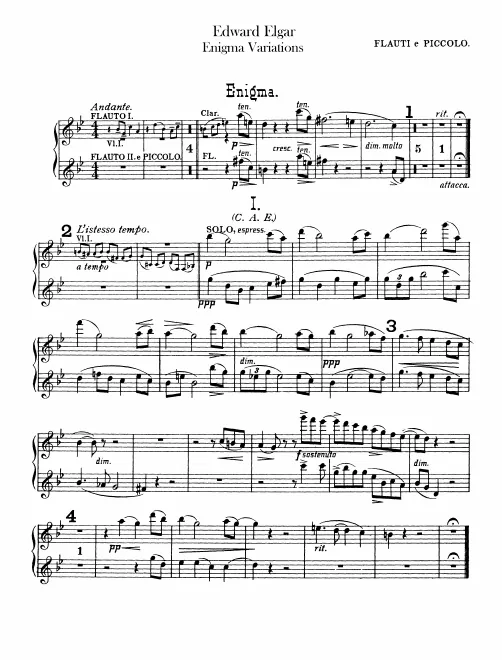 Flute 1/2 (also Piccolo)