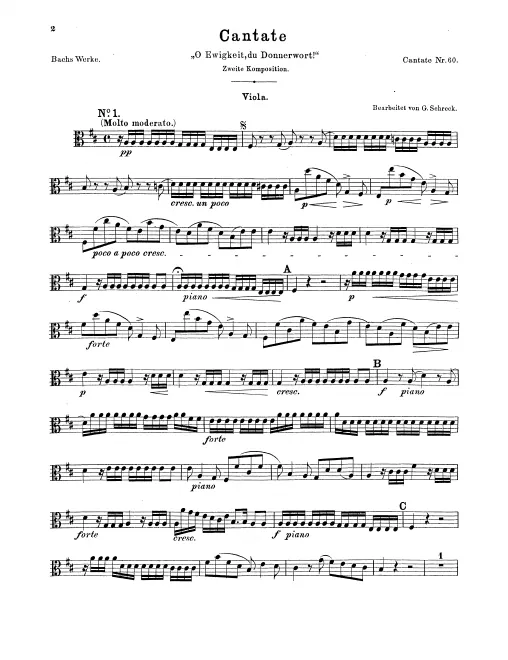 Violas