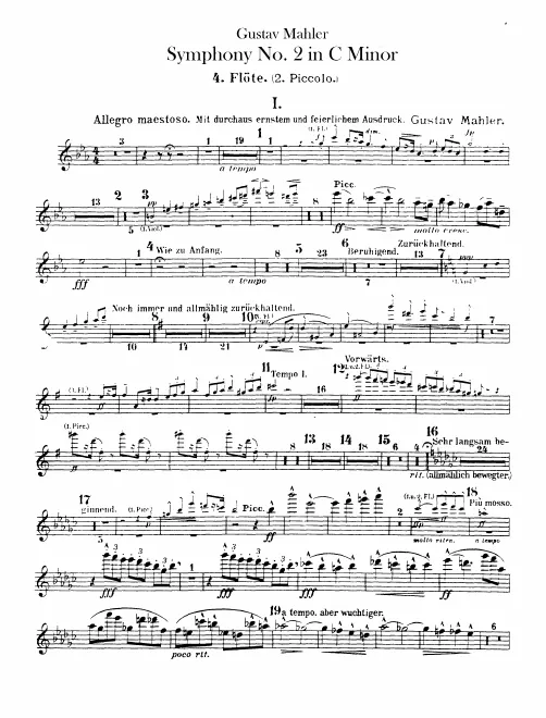 Flute 4/Piccolo 2