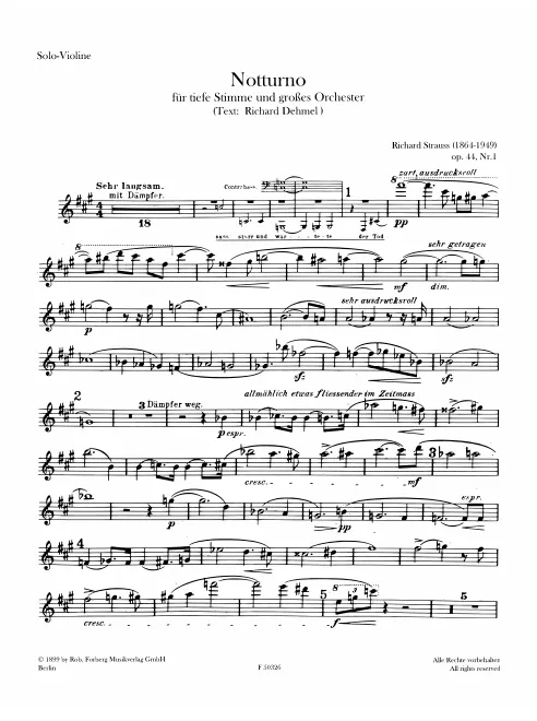 Violin Solo