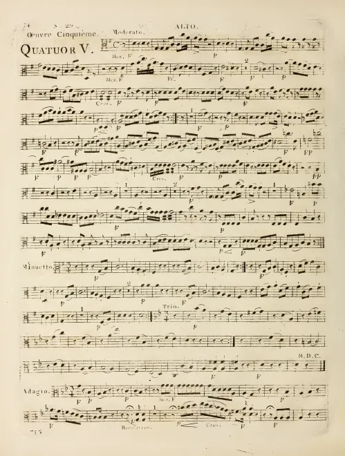 Viola