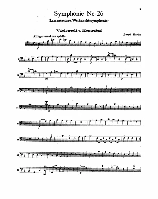 Cellos/Basses