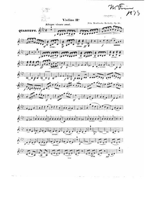 Violin 2