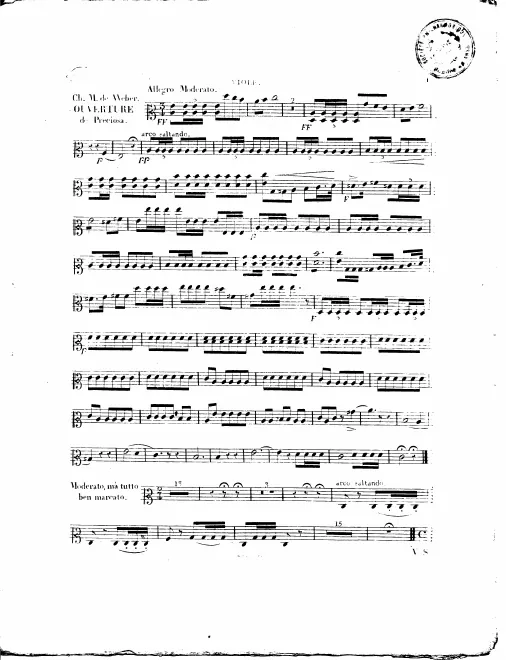 Violas