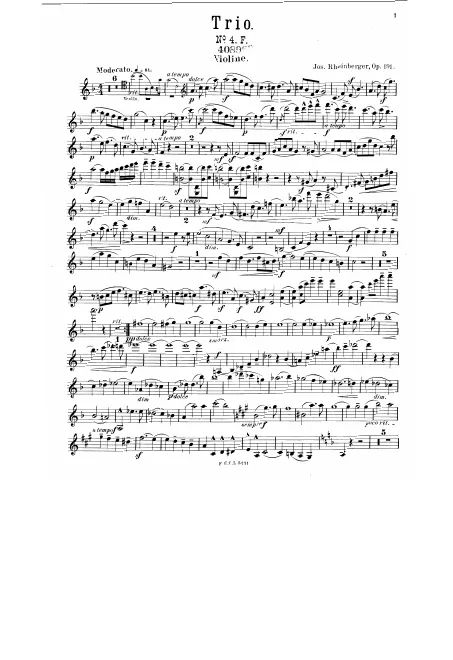 Violin