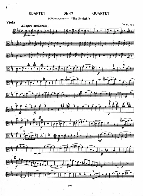 Viola