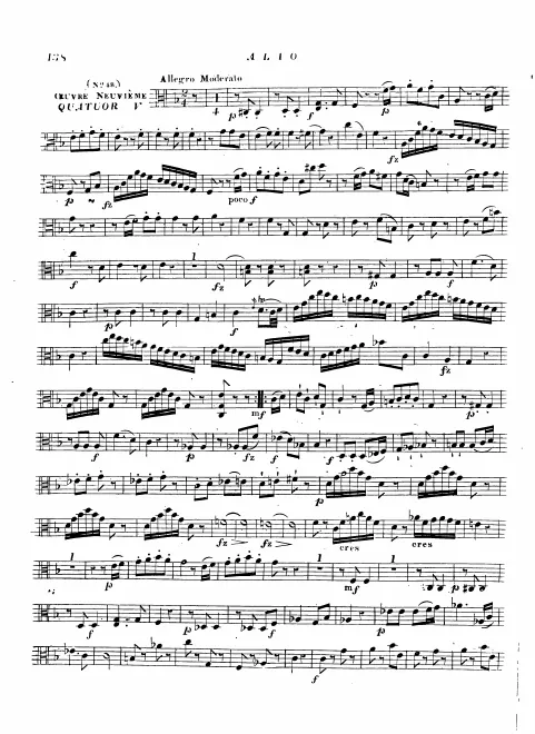 Viola