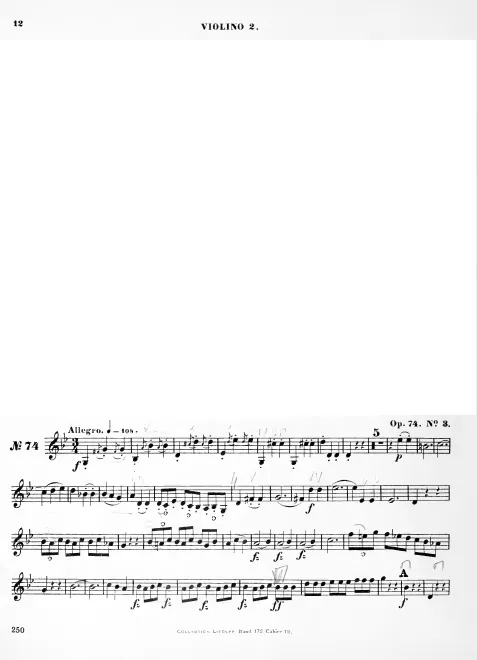Violin 2