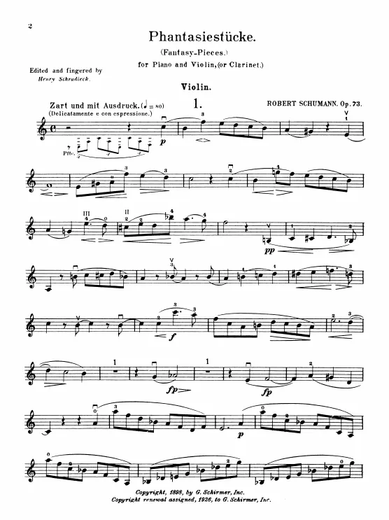 Violin