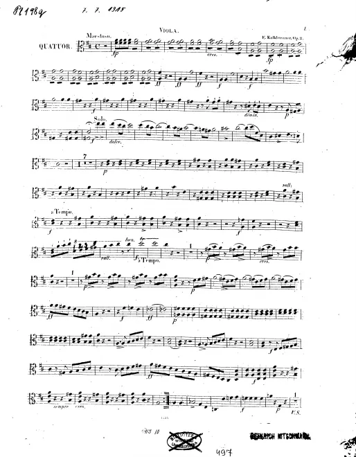 Viola