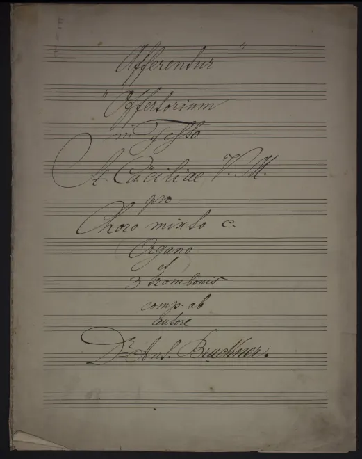 Organ Score