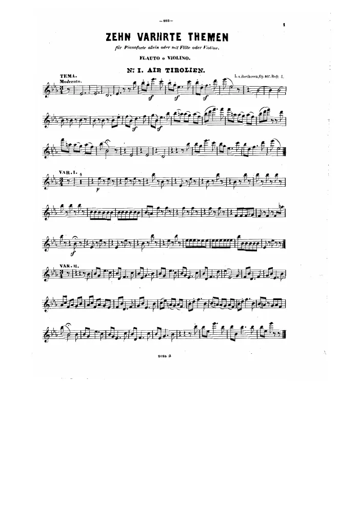 Flute / Violin