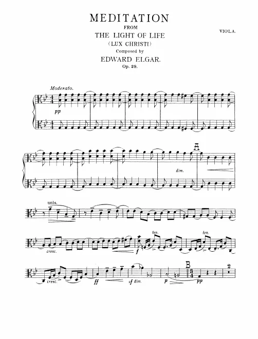 Violas