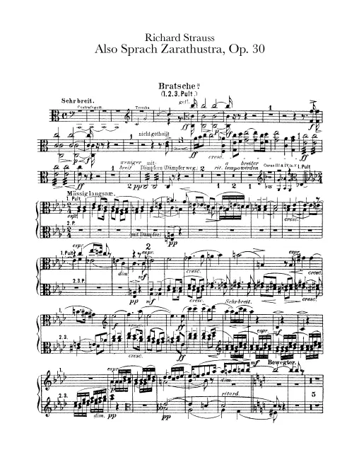 Violas a
