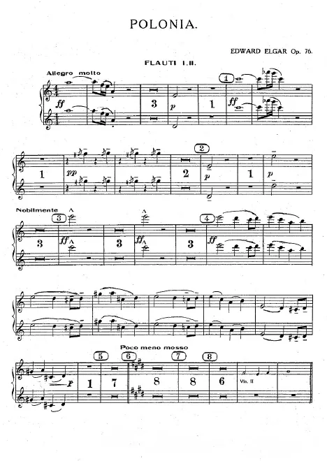 Flute 1/2, Piccolo