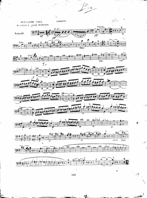 Bassoon 1/2