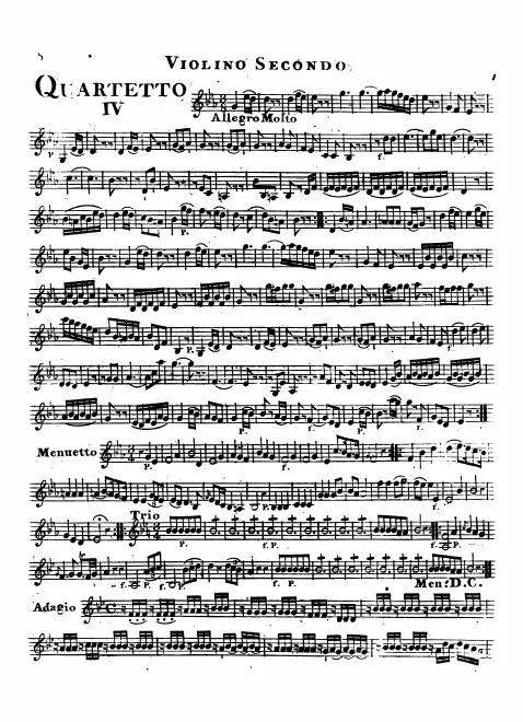 Violin 2