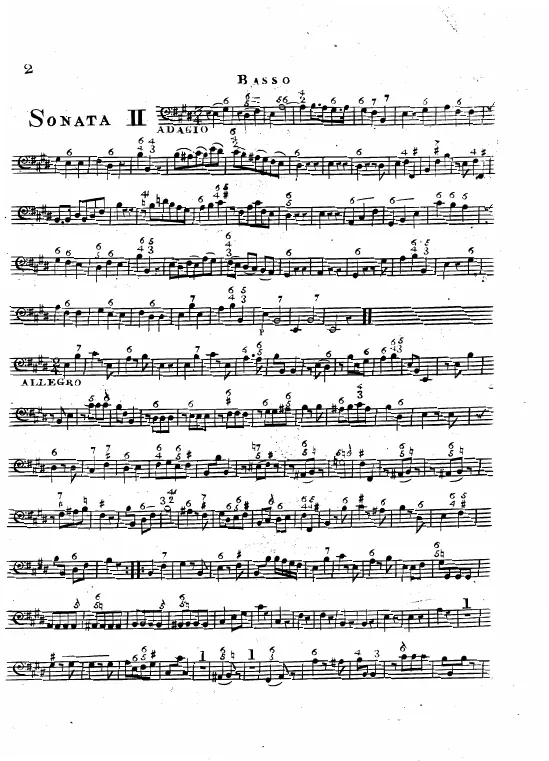 Cello