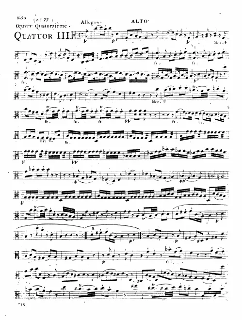 Viola