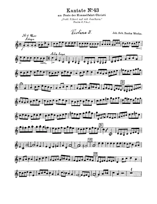Violins II