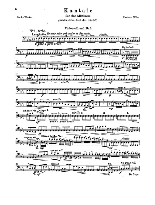 Cellos/Basses