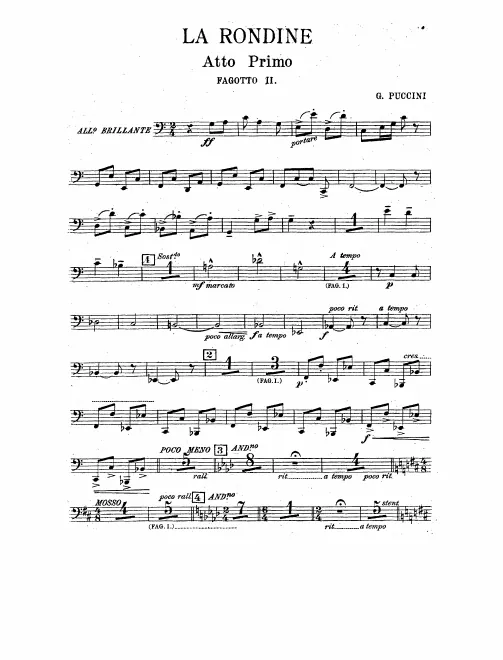 Bassoon 2