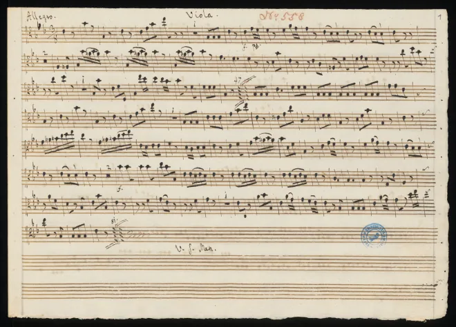 Viola