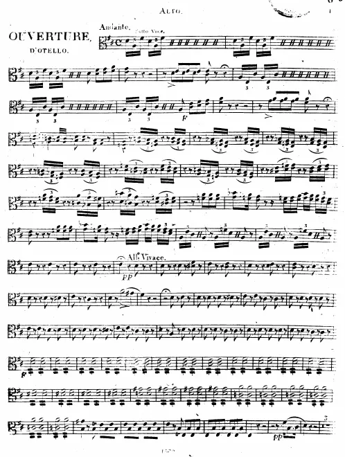 Violas