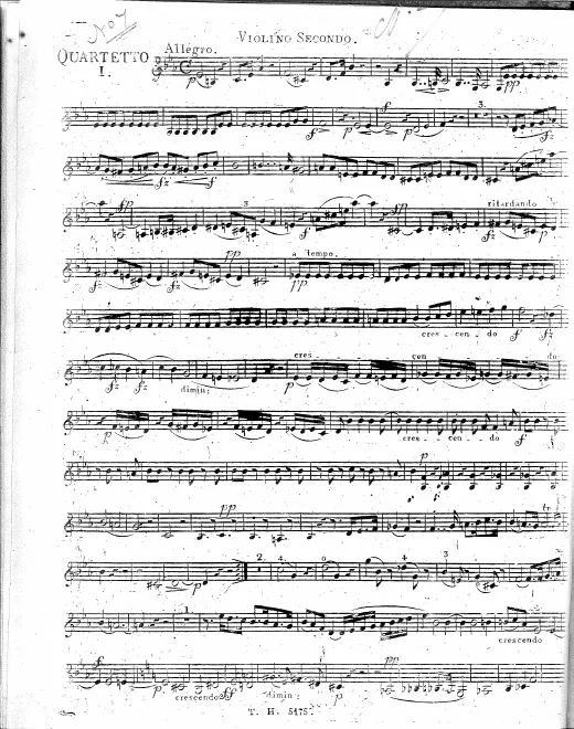 Violin 2