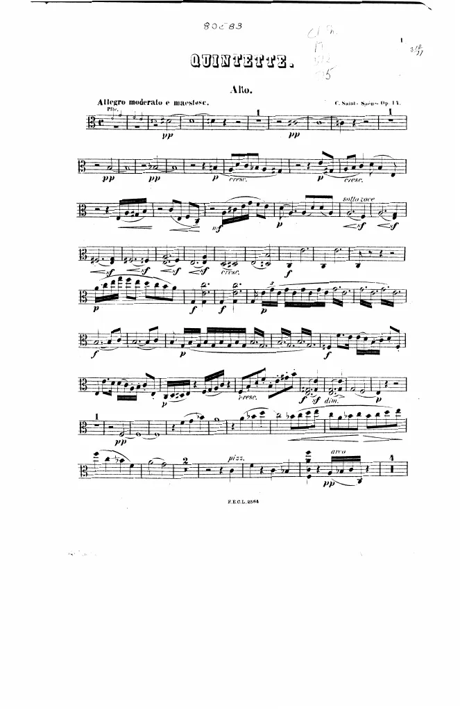Viola