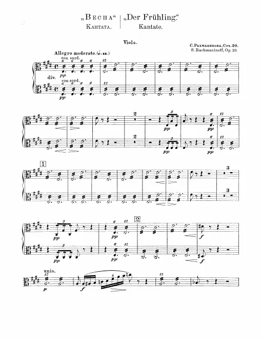 Violas