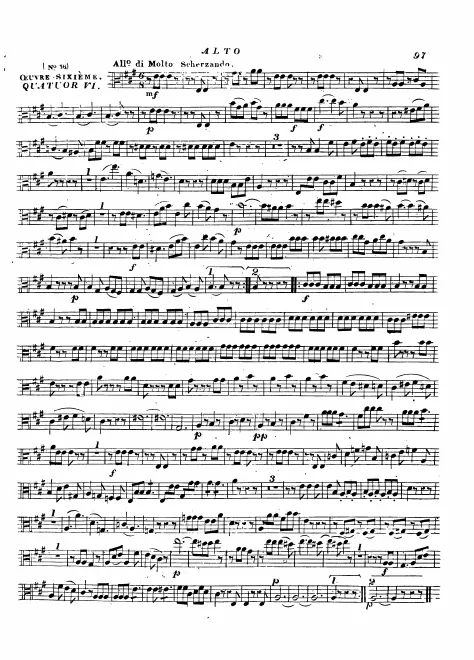 Viola