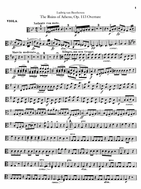 Violas