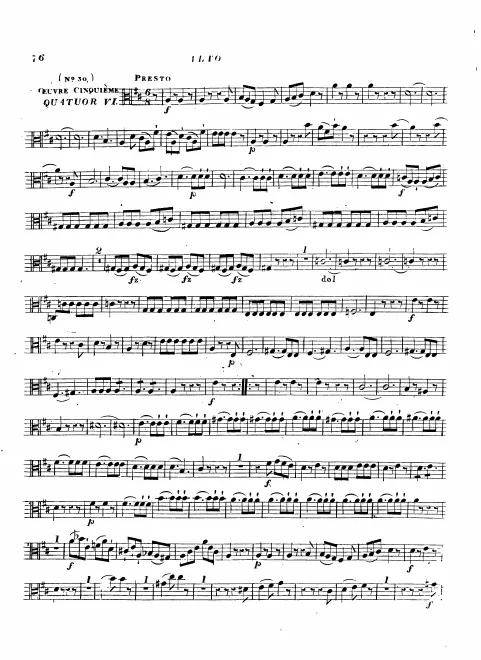 Viola