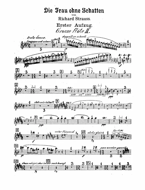 Flute 2