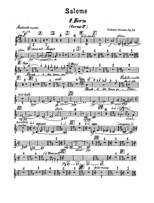 Horn 4