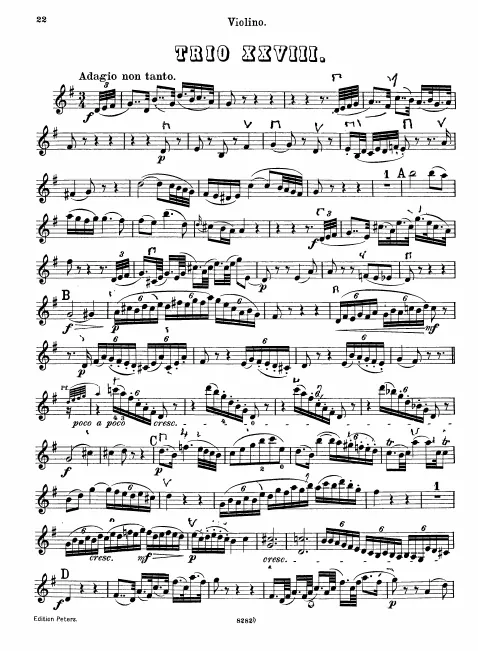 Violin
