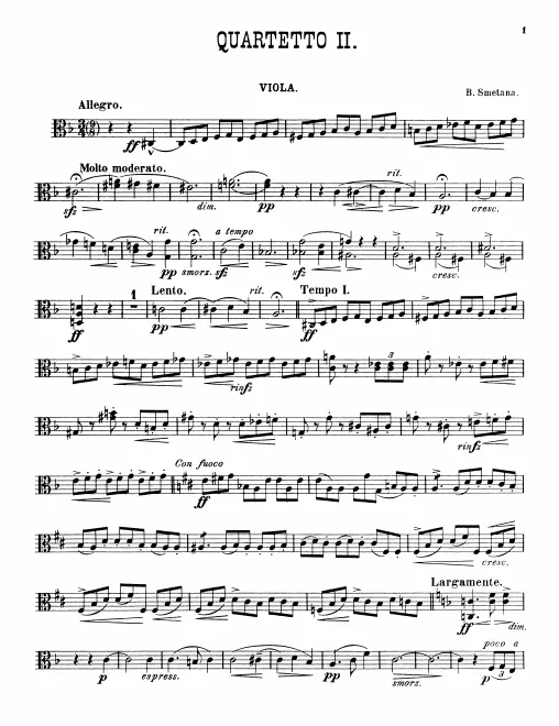 Viola
