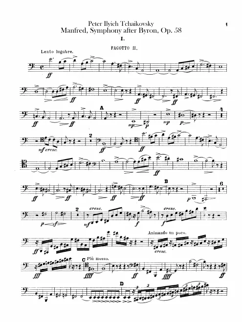 Bassoon 2