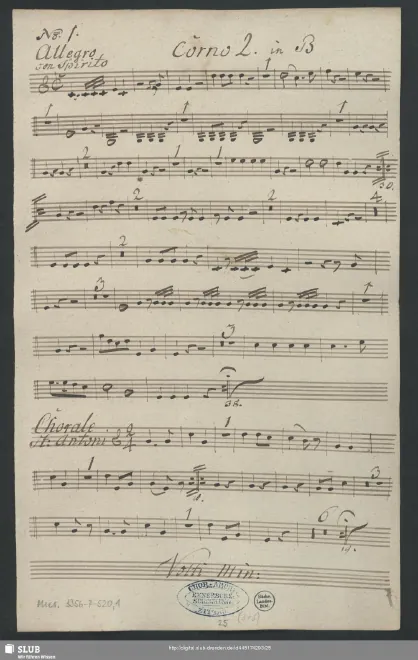 Horn 2 (B)