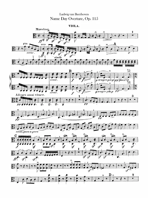 Violas