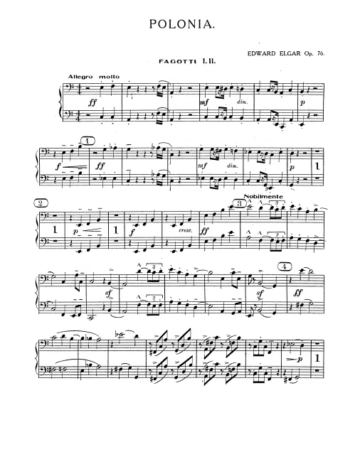 Bassoon 1/2, Contrabassoon