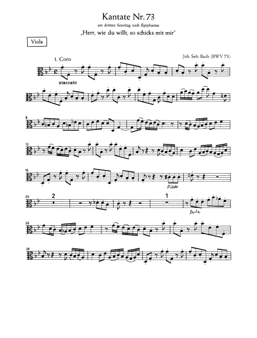 Violas