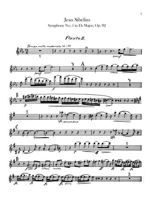 Flute 2
