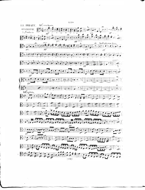 Violas