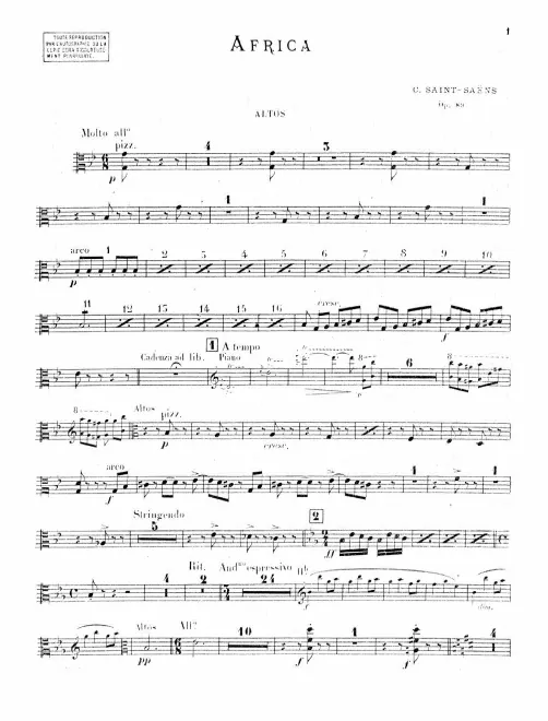 Violas