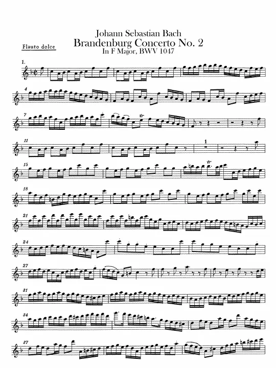 Flute (Recorder) solo