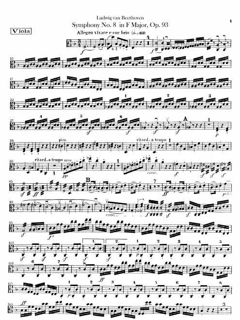 Violas