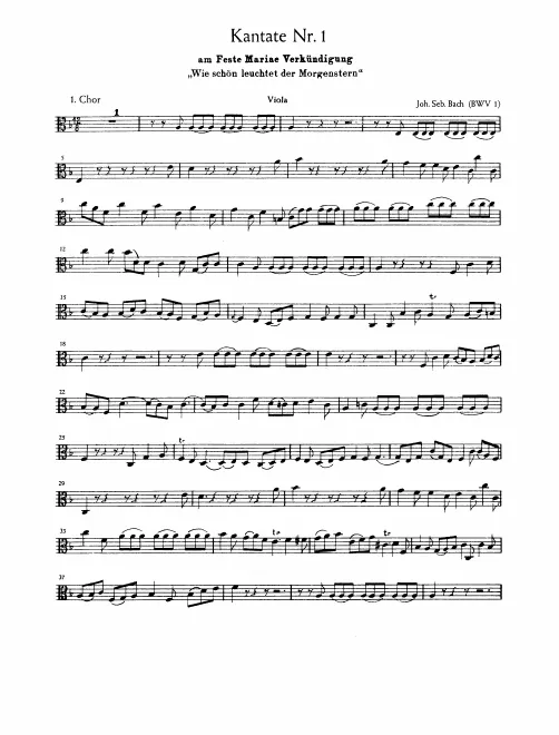 Violas