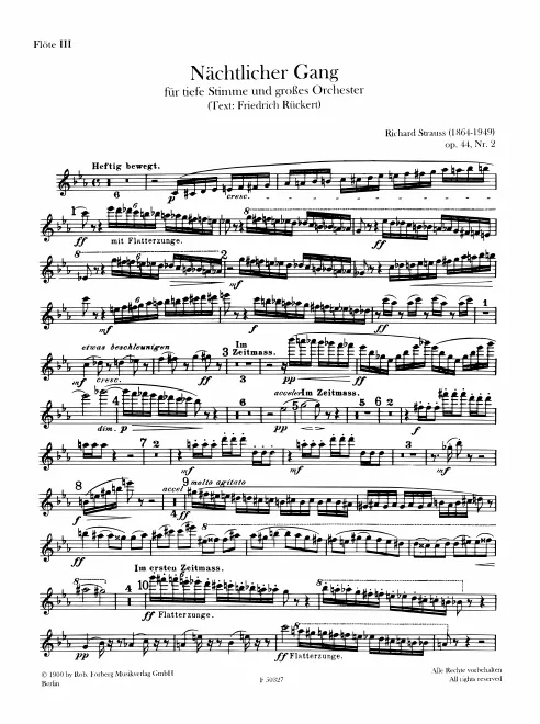 Flute 3